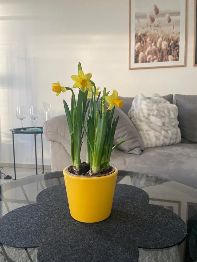 4-Sterne Ferienwohnung Krill Bad Wurzach Exterior foto